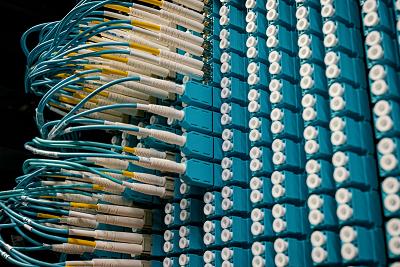 Fiber optic cables connected in a data center rack, showcasing modern networking technology.