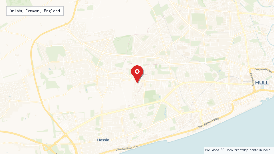 Street map of Anlaby Common, England with location pin