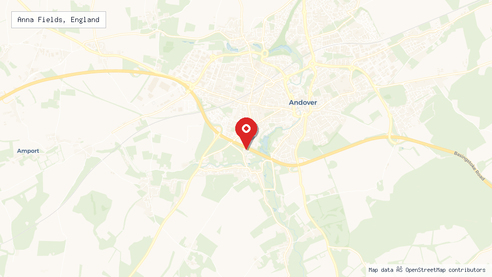 Street map of Anna Fields, England with location pin