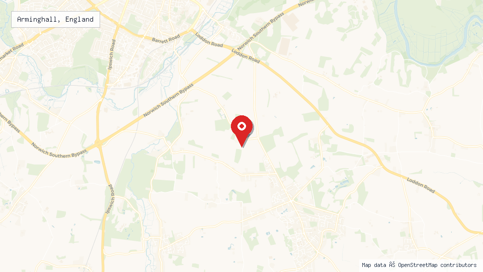 Street map of Arminghall, England with location pin