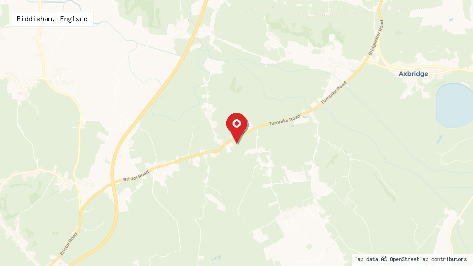 Street map of Biddisham, England with location pin