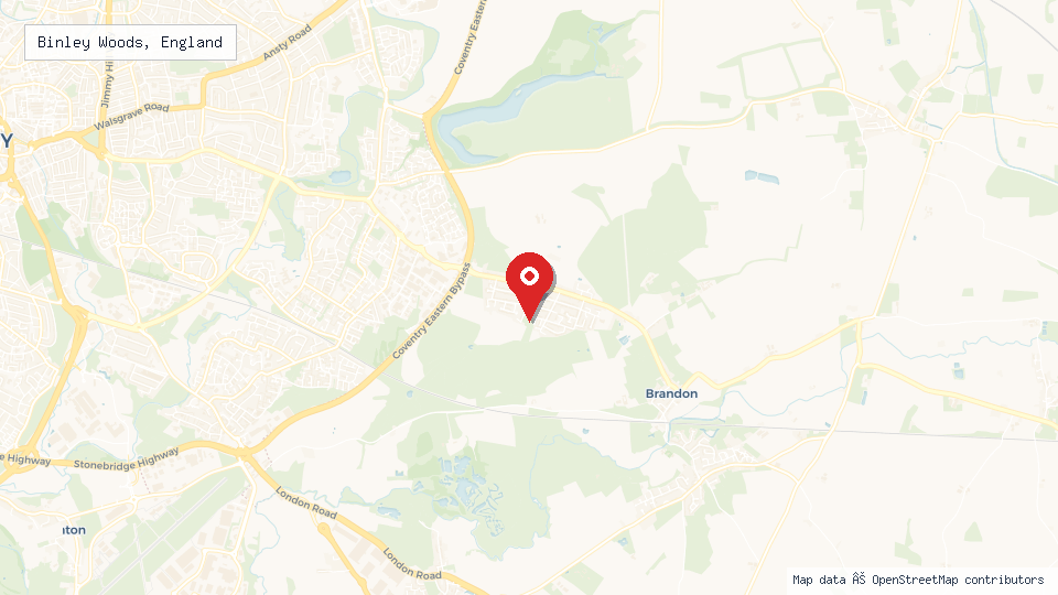 Street map of Binley Woods, England with location pin