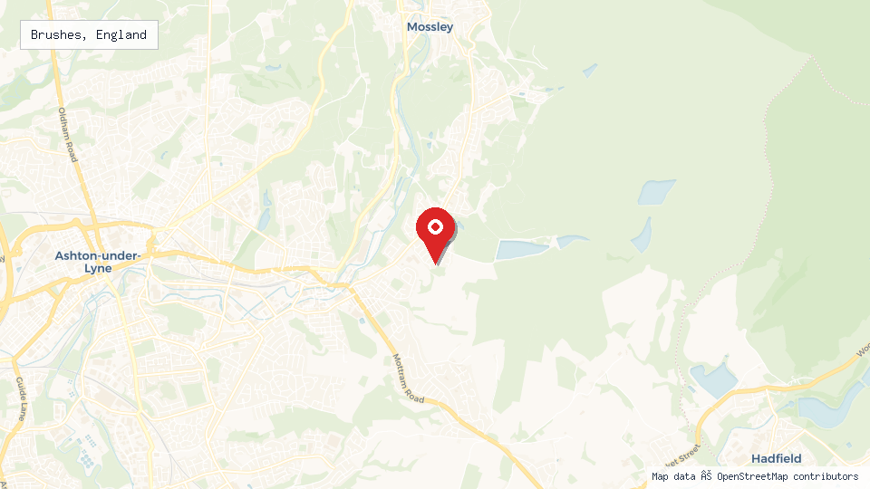 Street map of Brushes, England with location pin