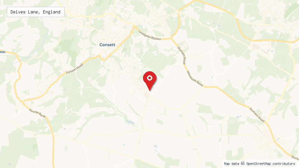 Street map of Delves Lane, England with location pin