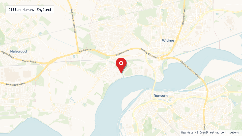 Street map of Ditton Marsh, England with location pin