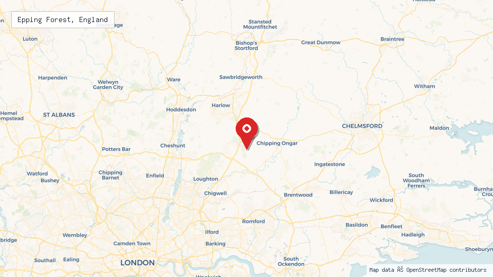 Street map of Epping Forest, England with location pin