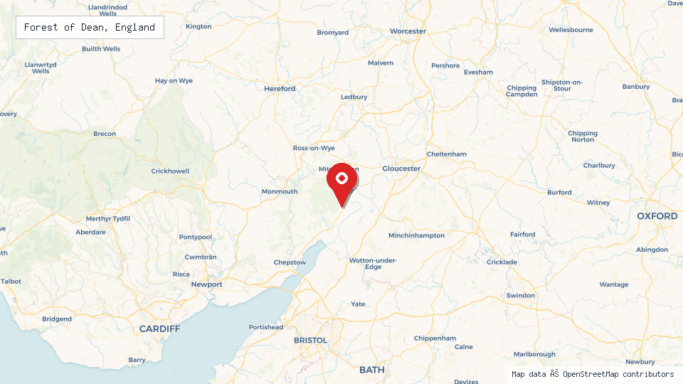 Street map of Forest of Dean, England with location pin