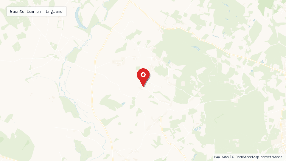 Street map of Gaunts Common, England with location pin