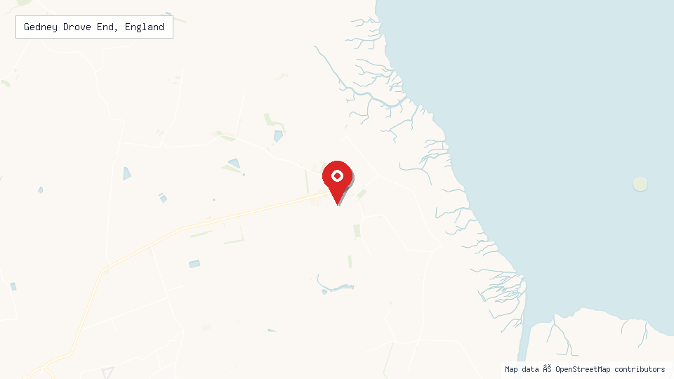 Street map of Gedney Drove End, England with location pin