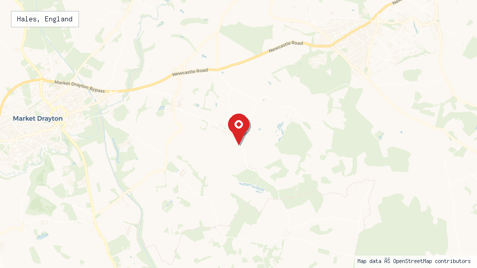 Street map of Hales, England with location pin