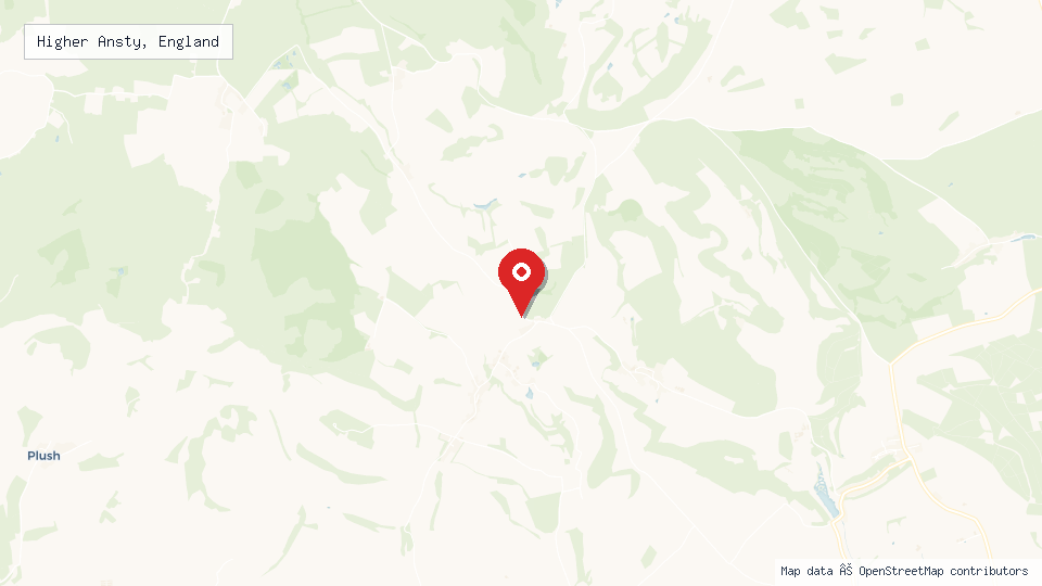 Street map of Higher Ansty, England with location pin