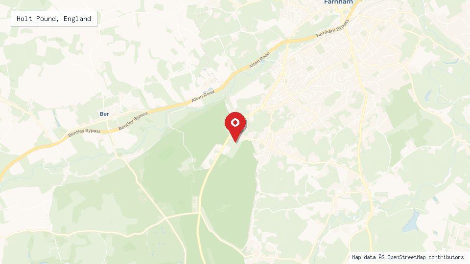 Street map of Holt Pound, England with location pin