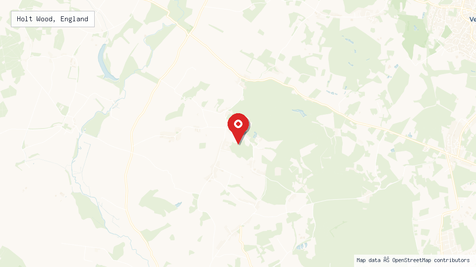 Street map of Holt Wood, England with location pin