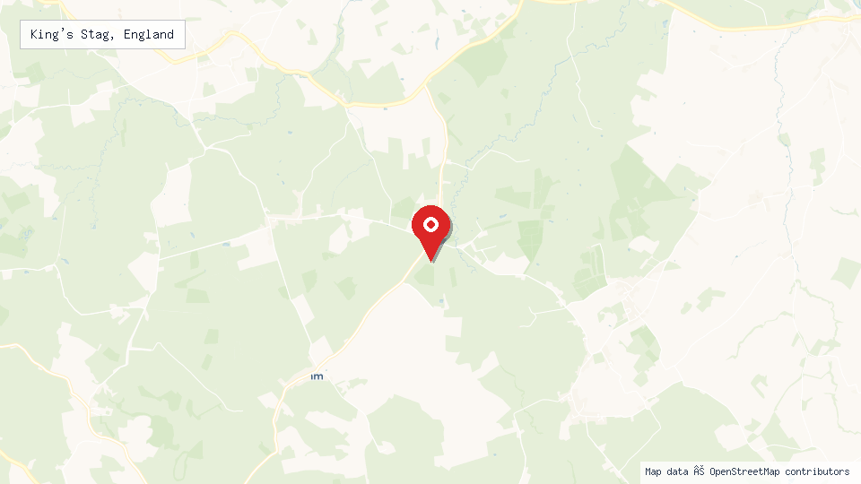 Street map of King's Stag, England with location pin