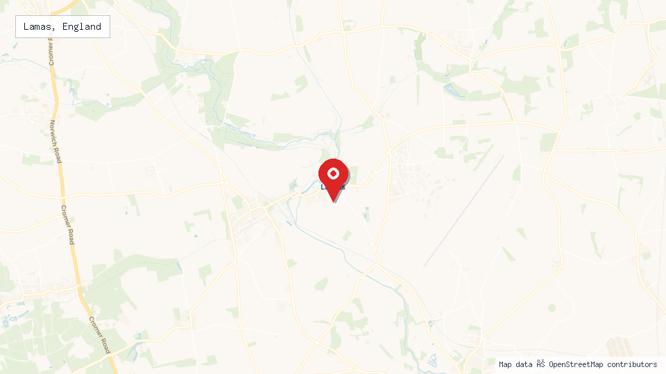 Street map of Lamas, England with location pin