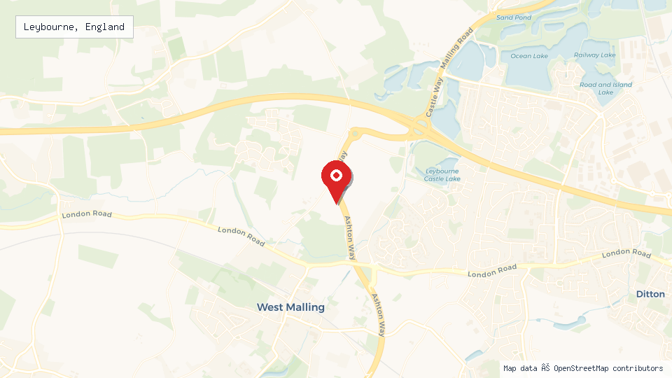 Street map of Leybourne, England with location pin