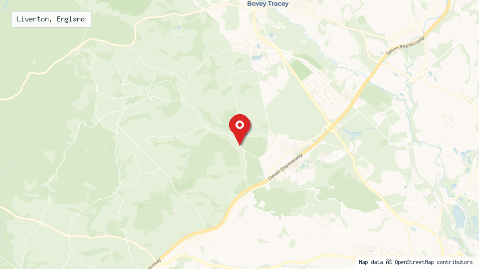Street map of Liverton, England with location pin