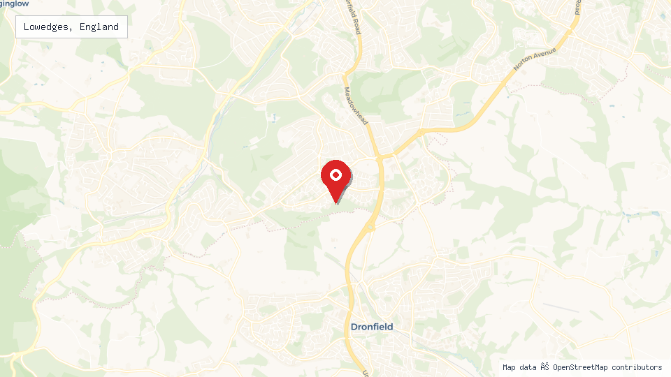 Street map of Lowedges, England with location pin