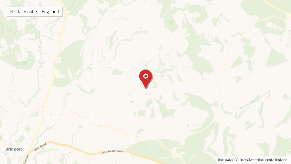 Street map of Nettlecombe, England with location pin
