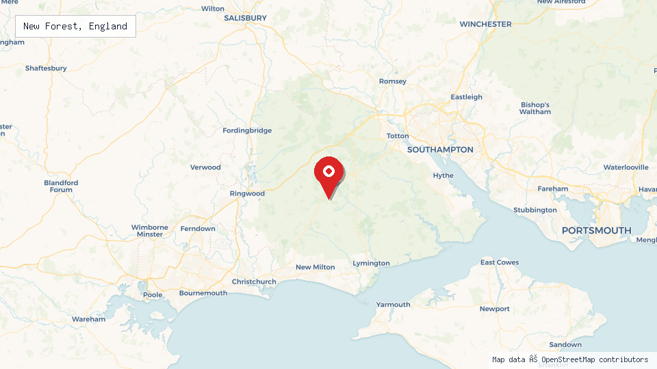 Street map of New Forest, England with location pin