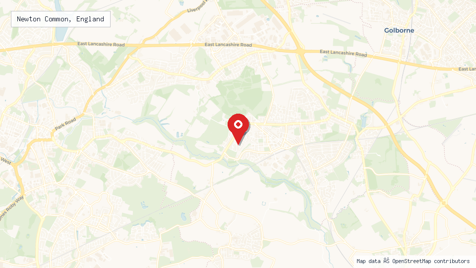 Street map of Newton Common, England with location pin
