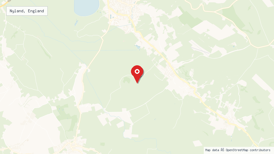 Street map of Nyland, England with location pin