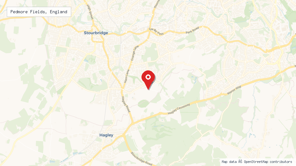 Street map of Pedmore Fields, England with location pin