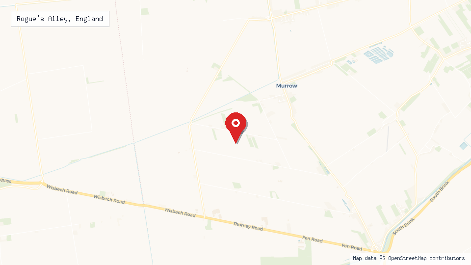 Street map of Rogue's Alley, England with location pin