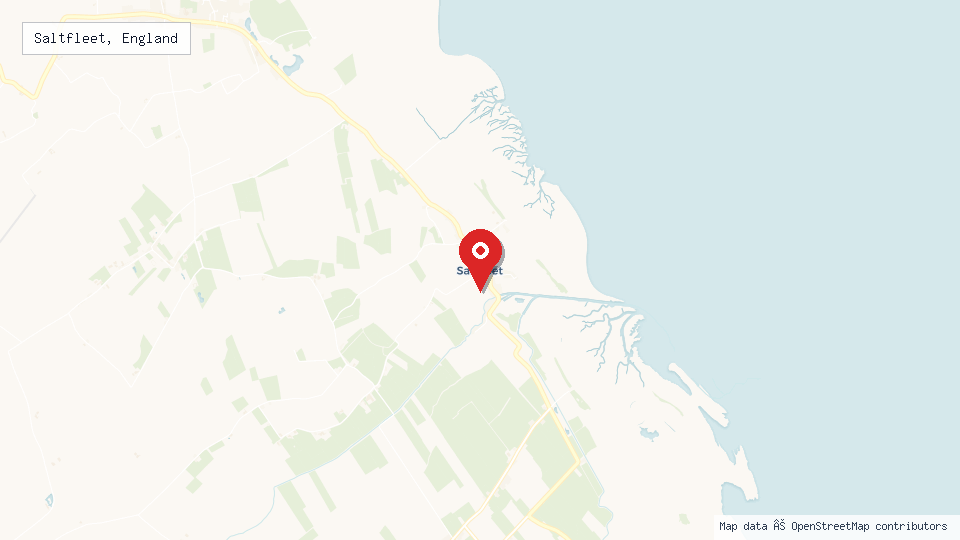 Street map of Saltfleet, England with location pin