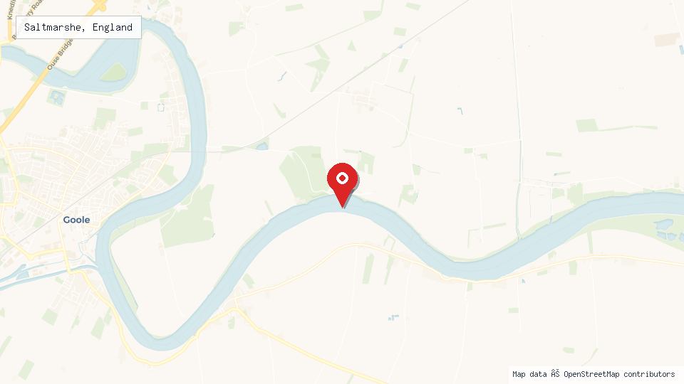Street map of Saltmarshe, England with location pin