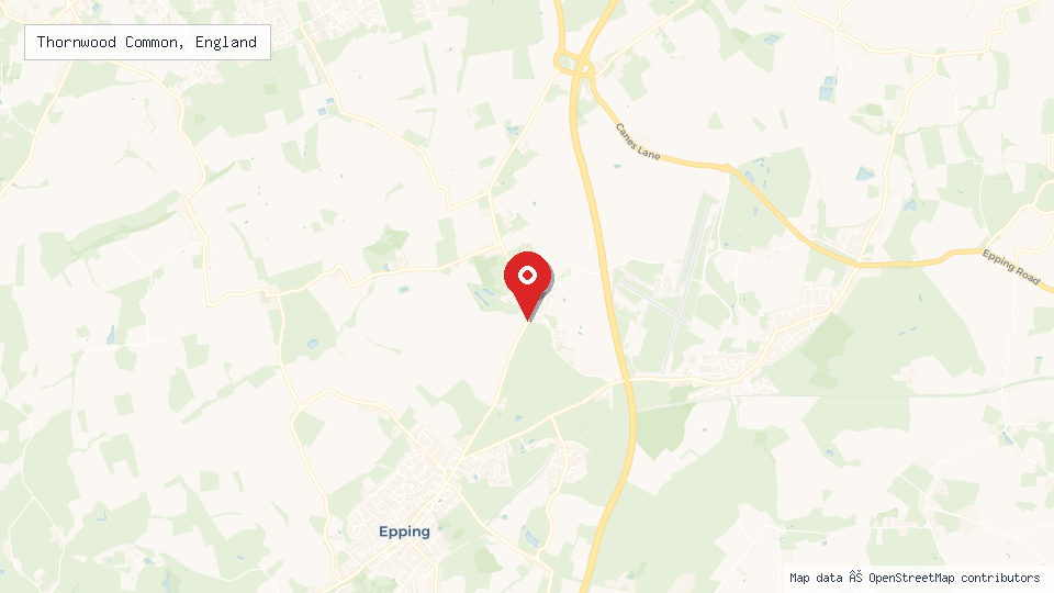 Street map of Thornwood Common, England with location pin