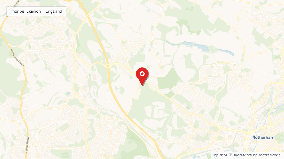 Street map of Thorpe Common, England with location pin