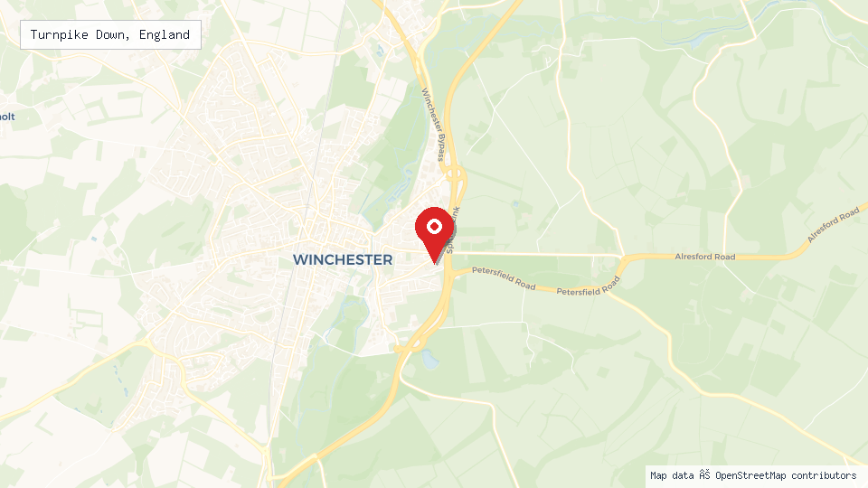 Street map of Turnpike Down, England with location pin