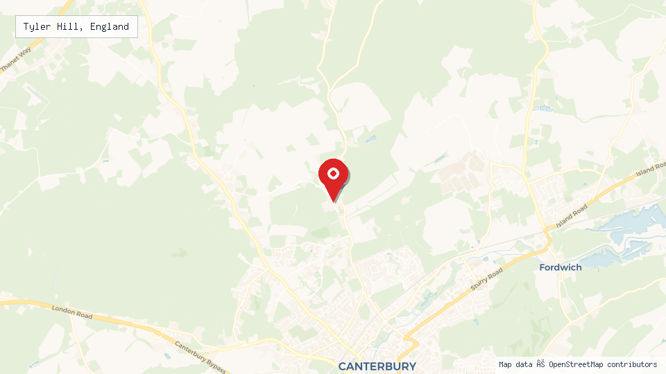 Street map of Tyler Hill, England with location pin