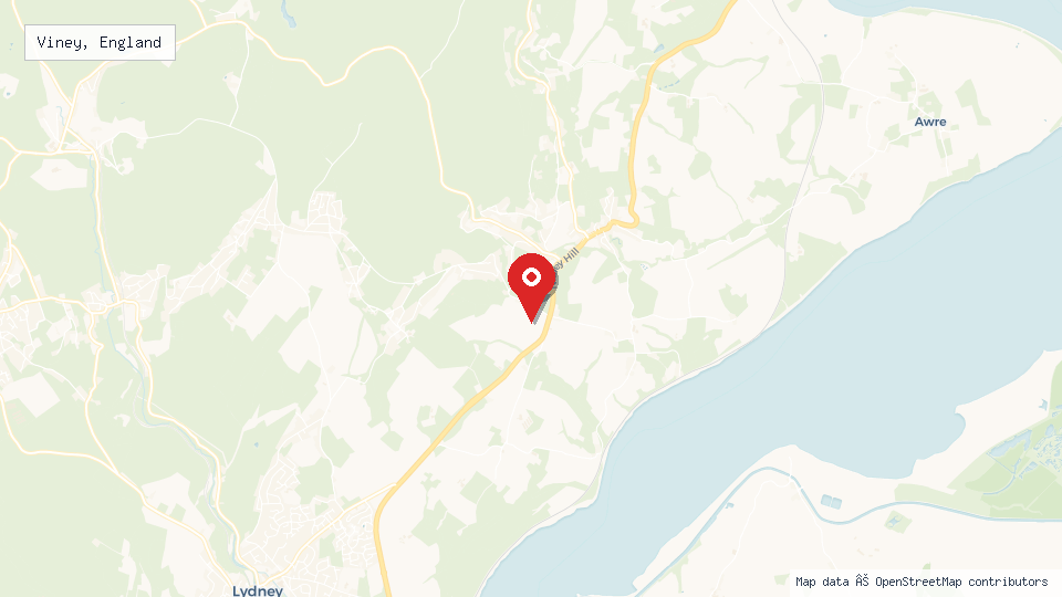 Street map of Viney, England with location pin