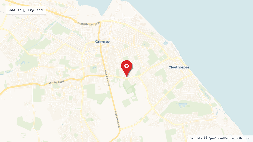 Street map of Weelsby, England with location pin