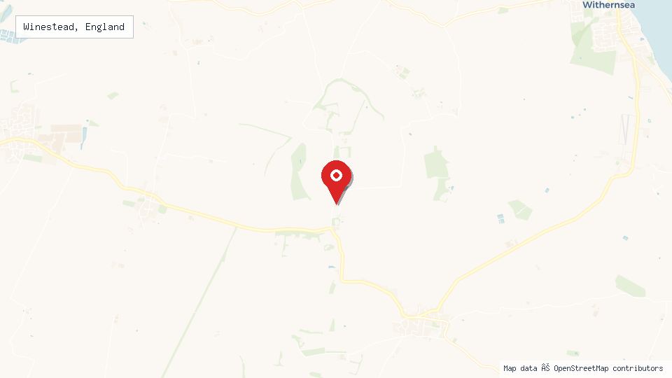 Street map of Winestead, England with location pin