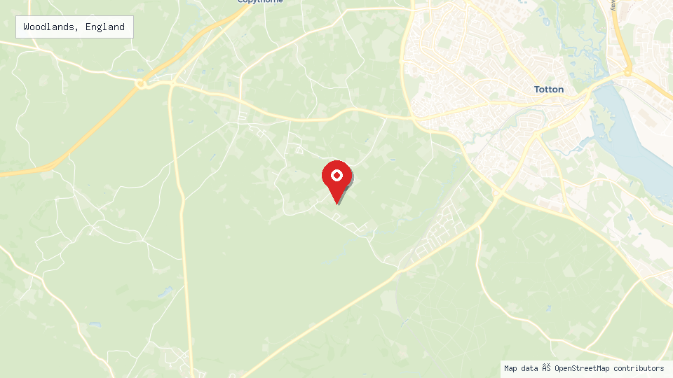 Street map of Woodlands, England with location pin