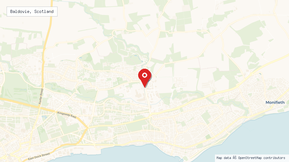 Street map of Baldovie, Scotland with location pin