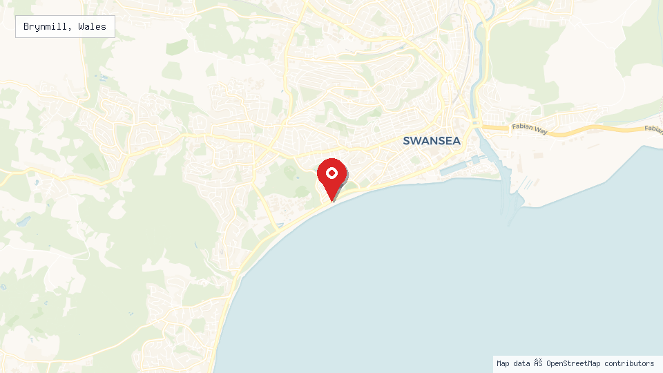 Street map of Brynmill, Wales with location pin