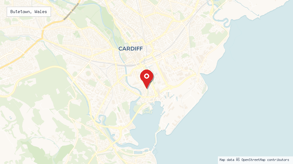 Street map of Butetown, Wales with location pin