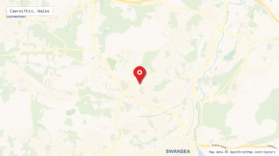Street map of Caereithin, Wales with location pin