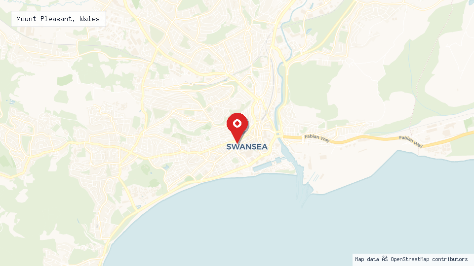 Street map of Mount Pleasant, Wales with location pin