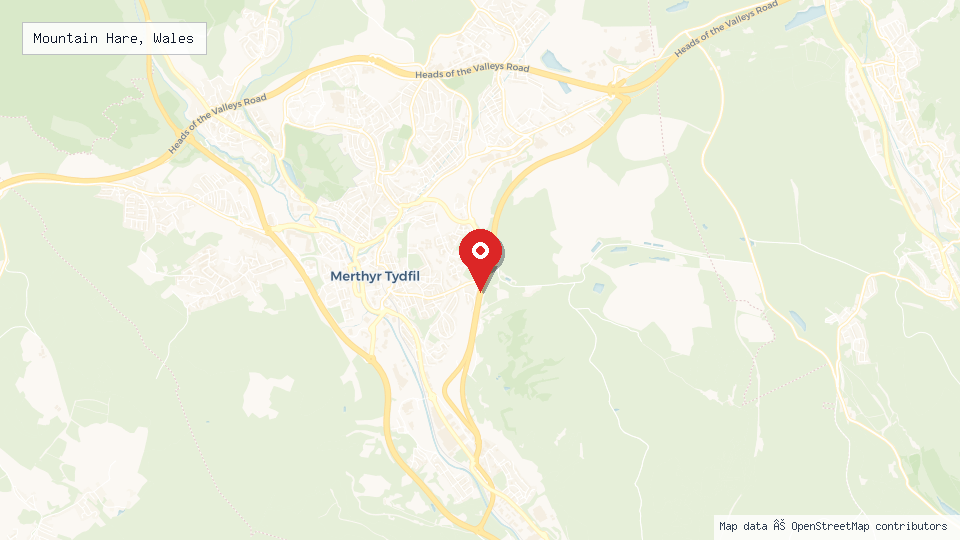 Street map of Mountain Hare, Wales with location pin