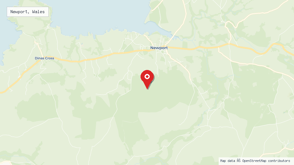 Street map of Newport, Wales with location pin