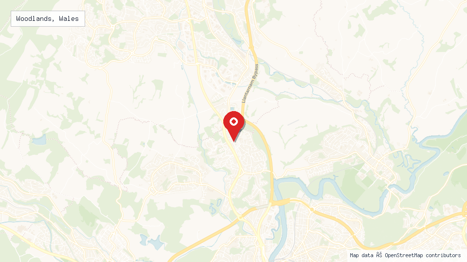 Street map of Woodlands, Wales with location pin