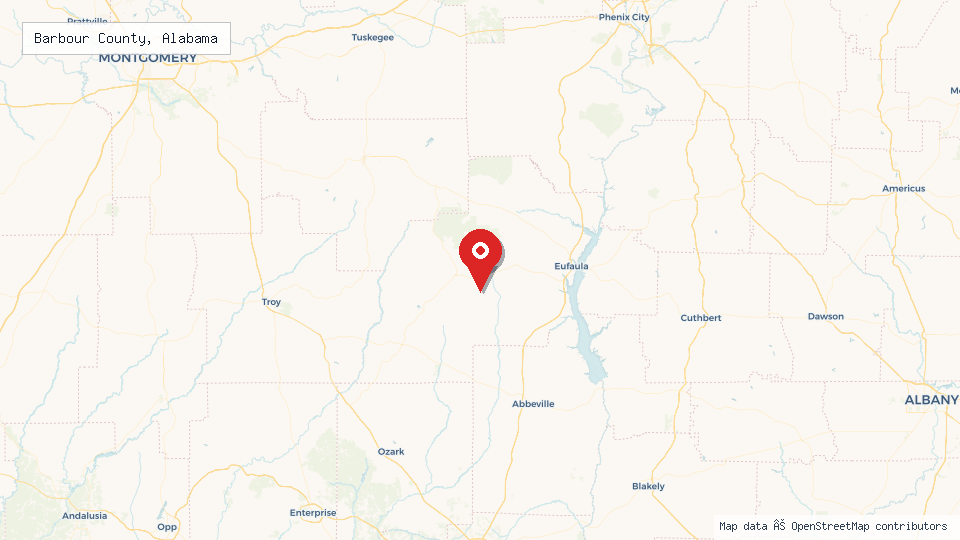 Street map of Barbour County, Alabama with location pin