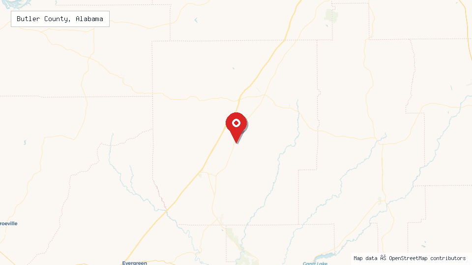 Street map of Butler County, Alabama with location pin