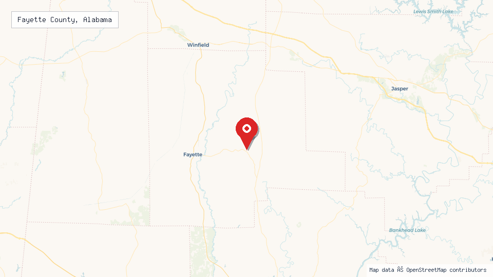 Street map of Fayette County, Alabama with location pin