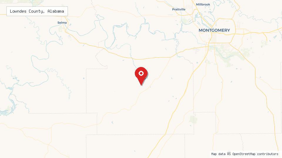 Street map of Lowndes County, Alabama with location pin